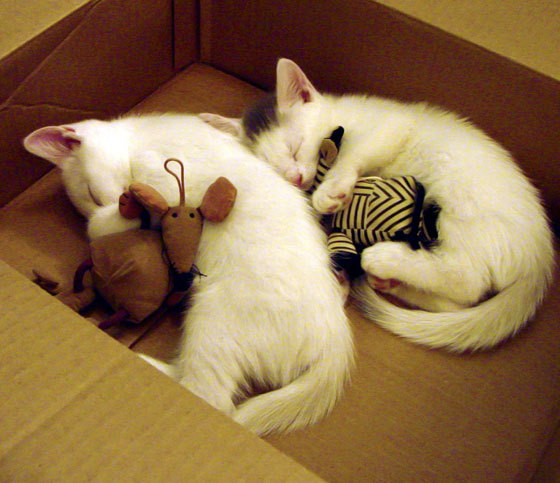 铁血马竞绞杀毕尔巴鄂！英超锋霸伊萨克单骑救主，足球世界冰与火的胜利法则