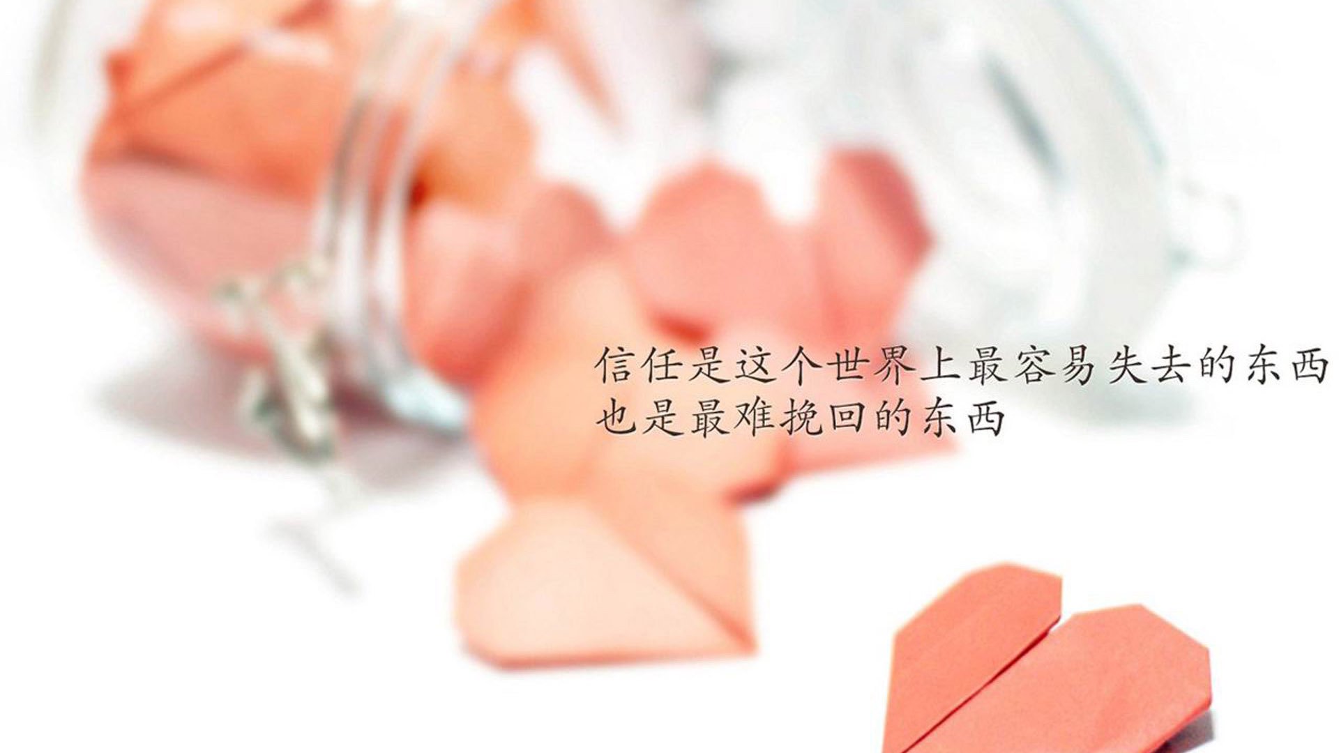 开云体育在线-阿坎吉全场封神！多特蒙德对决厄瓜多尔，瑞士铁卫化身胜负手