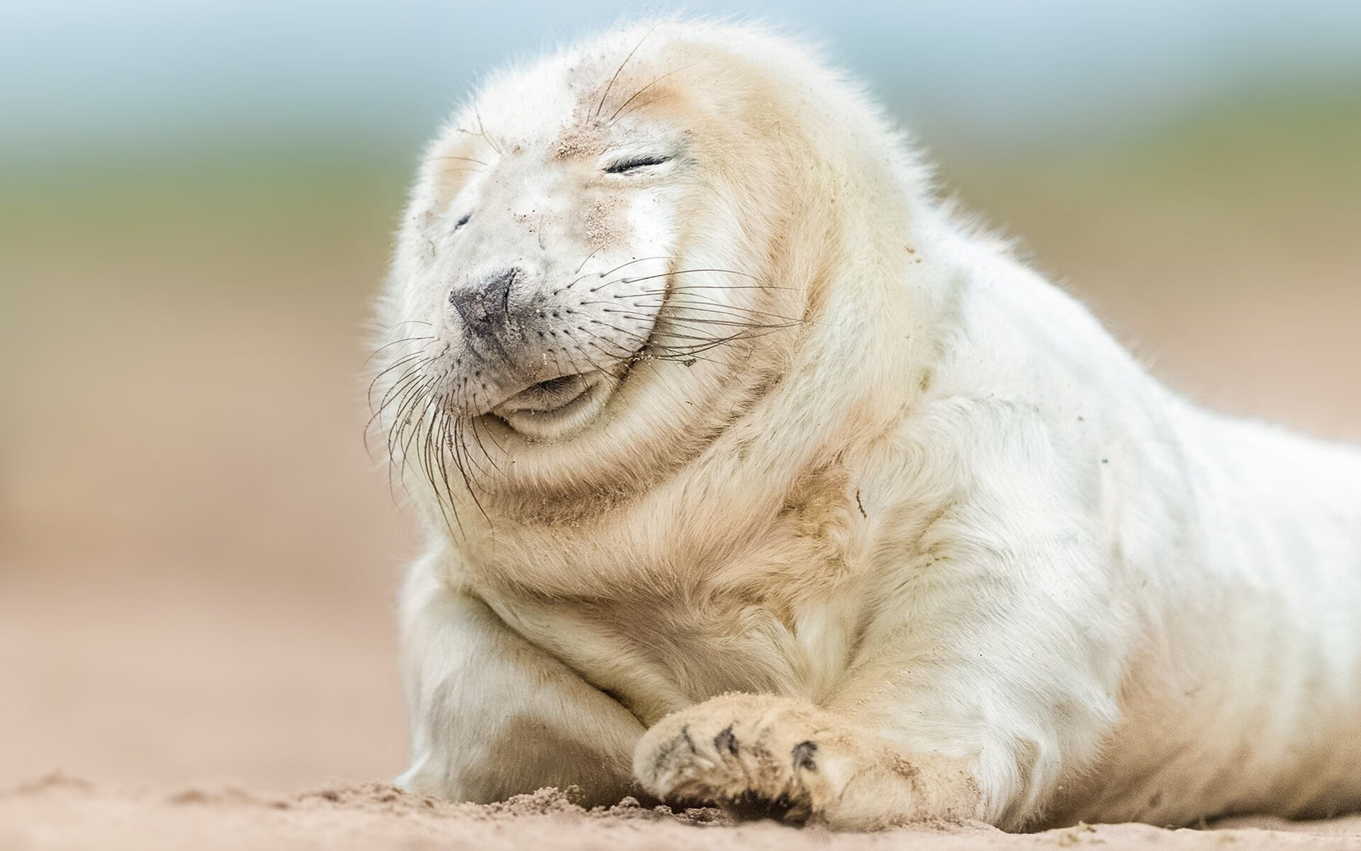 骑士单节狂飙拉开吉林队,贝恩末节封神成关键先生!